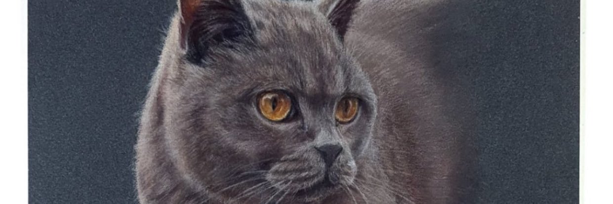 delamerest's profile banner image