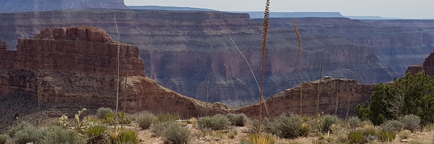 adam_sergent's profile banner image