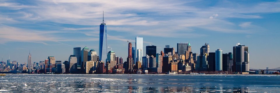 HenryJamesInt banner