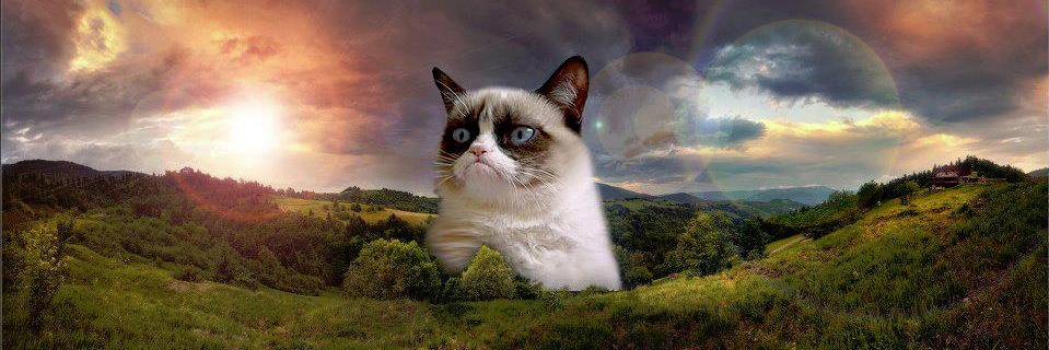 Svammelsorium banner