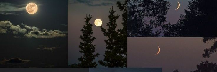 marinaa_pg_'s profile banner image