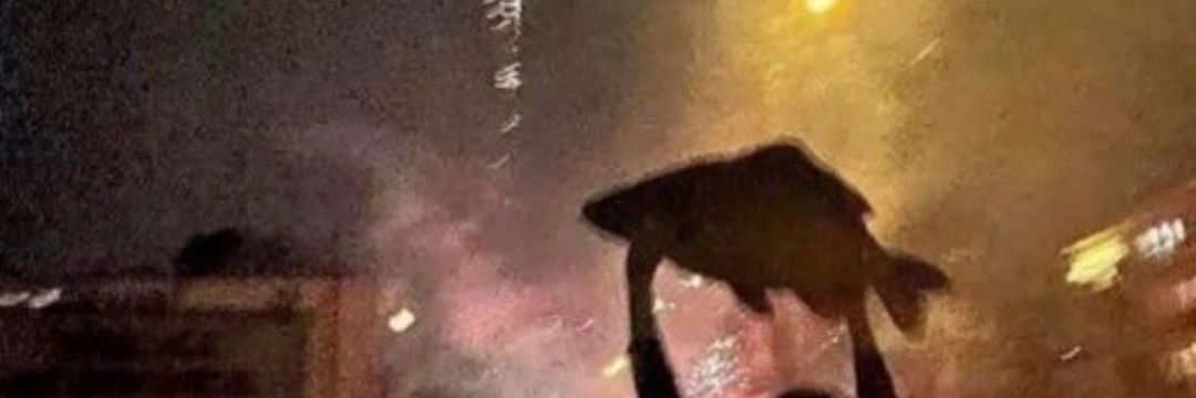 MirkoBekaert's profile banner image