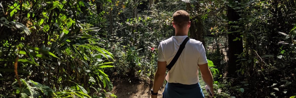 CallumRidley2's profile banner image