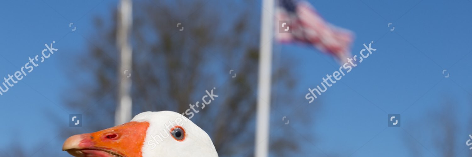 GODSONofICE's profile banner image