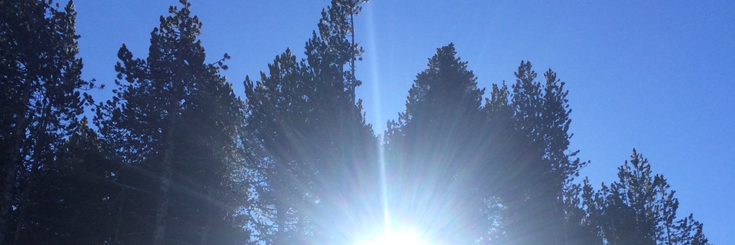 ndeanACT's profile banner image