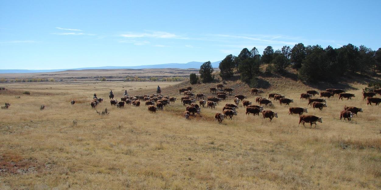 WorkingRanch's profile banner image