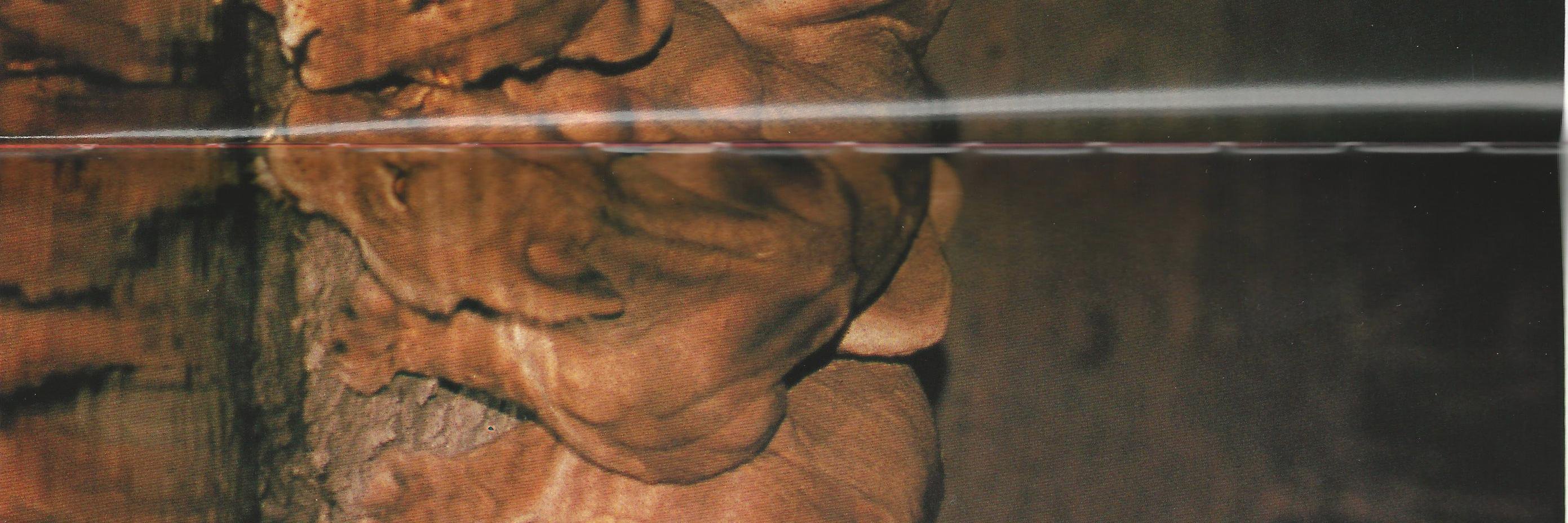 thebe kgositsile banner