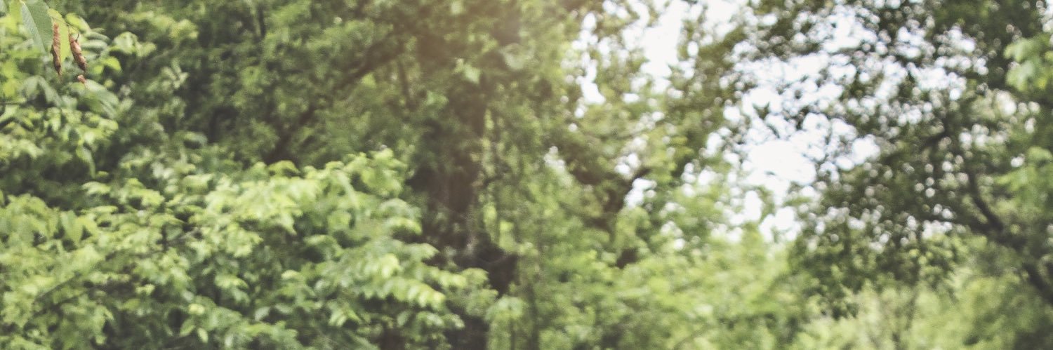 Trissty13's profile banner image
