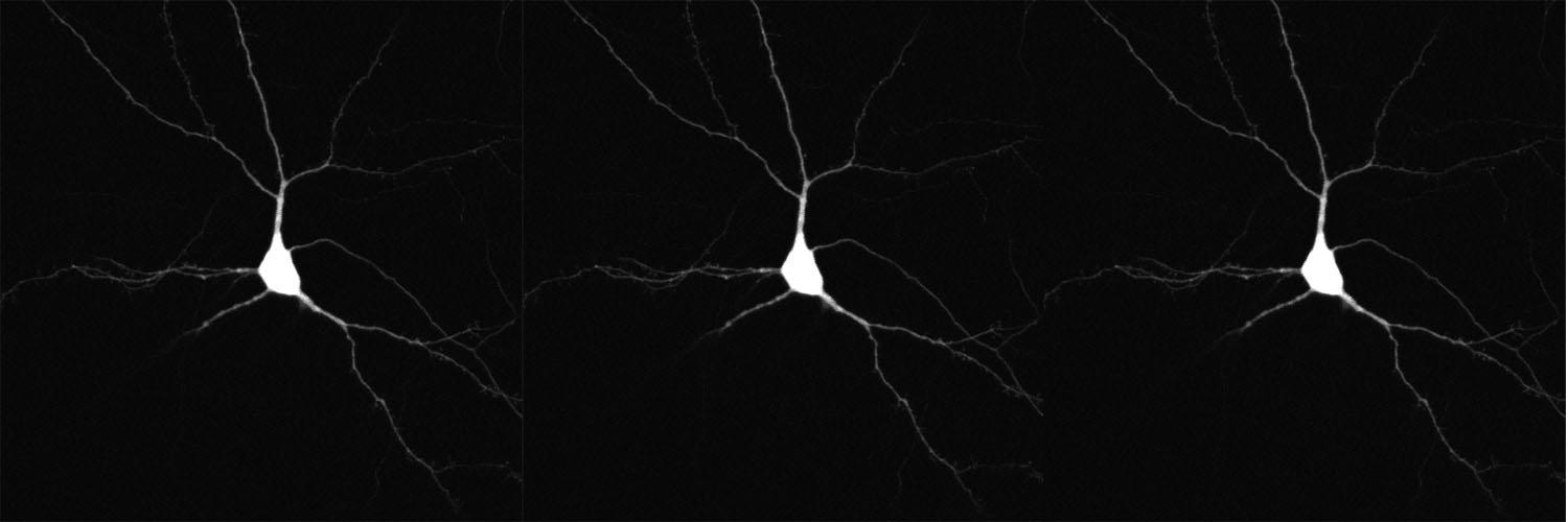 UKorea_Neuro's profile banner image