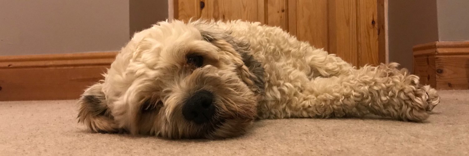 Ava Heffernan banner