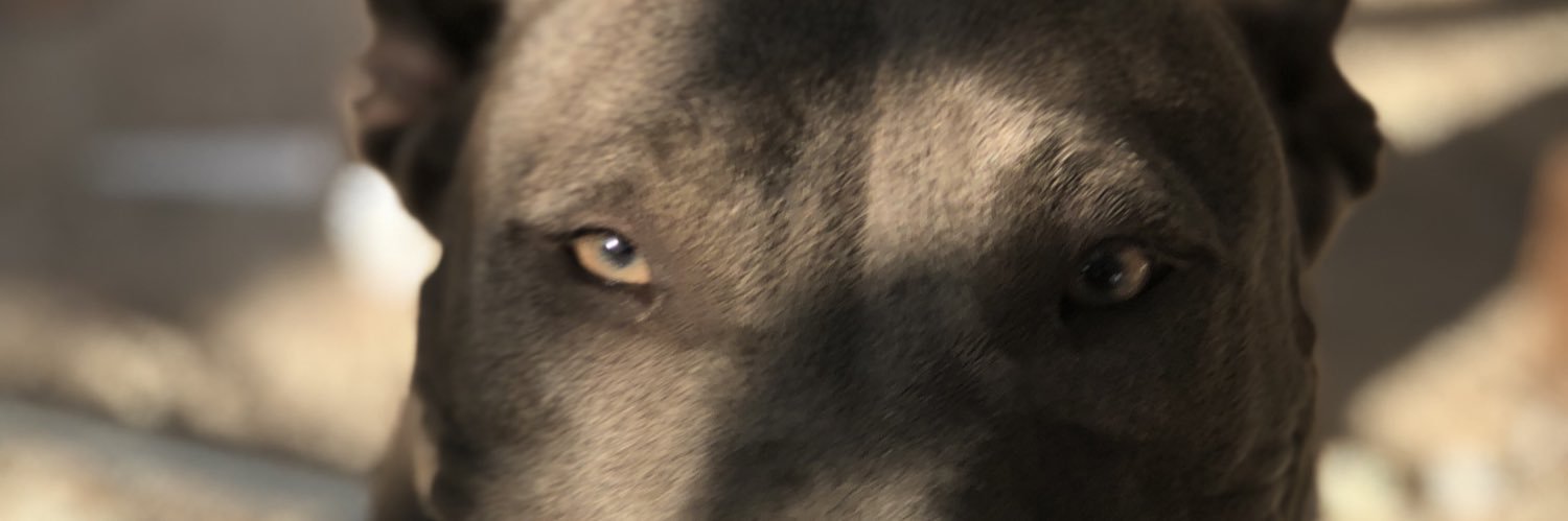 IsaaBlancoo's profile banner image