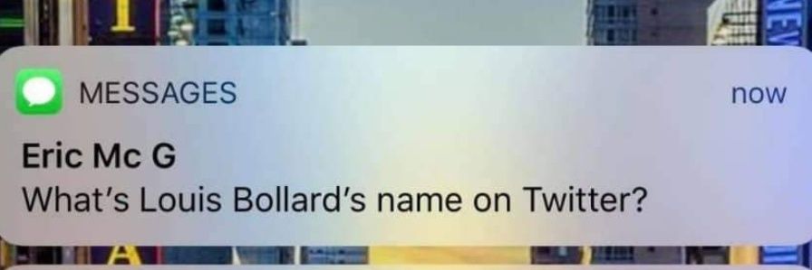 Louis banner