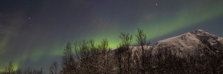 NLioret's profile banner image