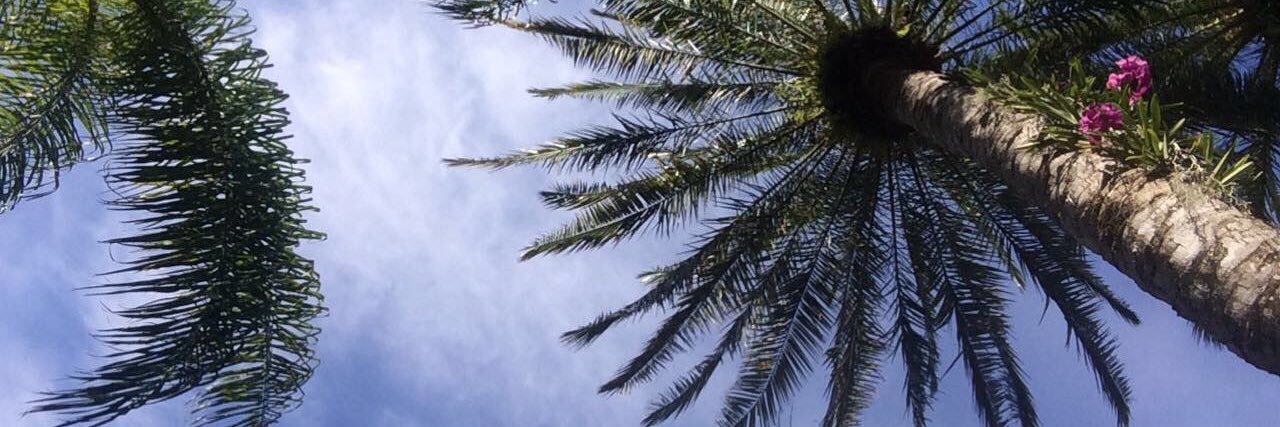 mollyayates's profile banner image