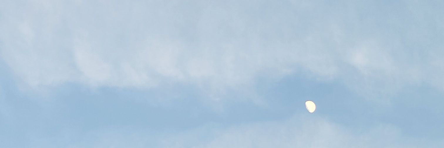 jinnbell's profile banner image