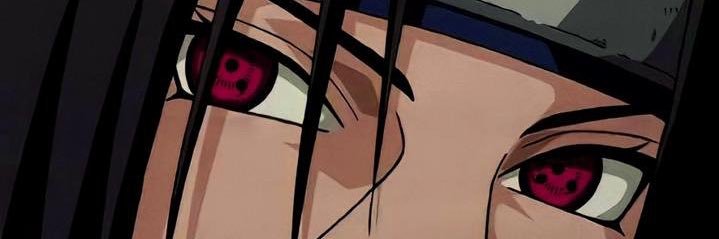 Corrysavage's profile banner image