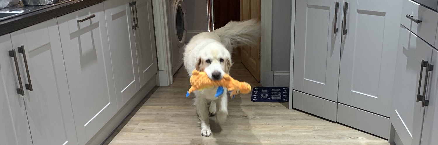 Mitchell Swan banner