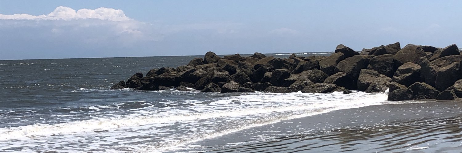 brenwoos's profile banner image