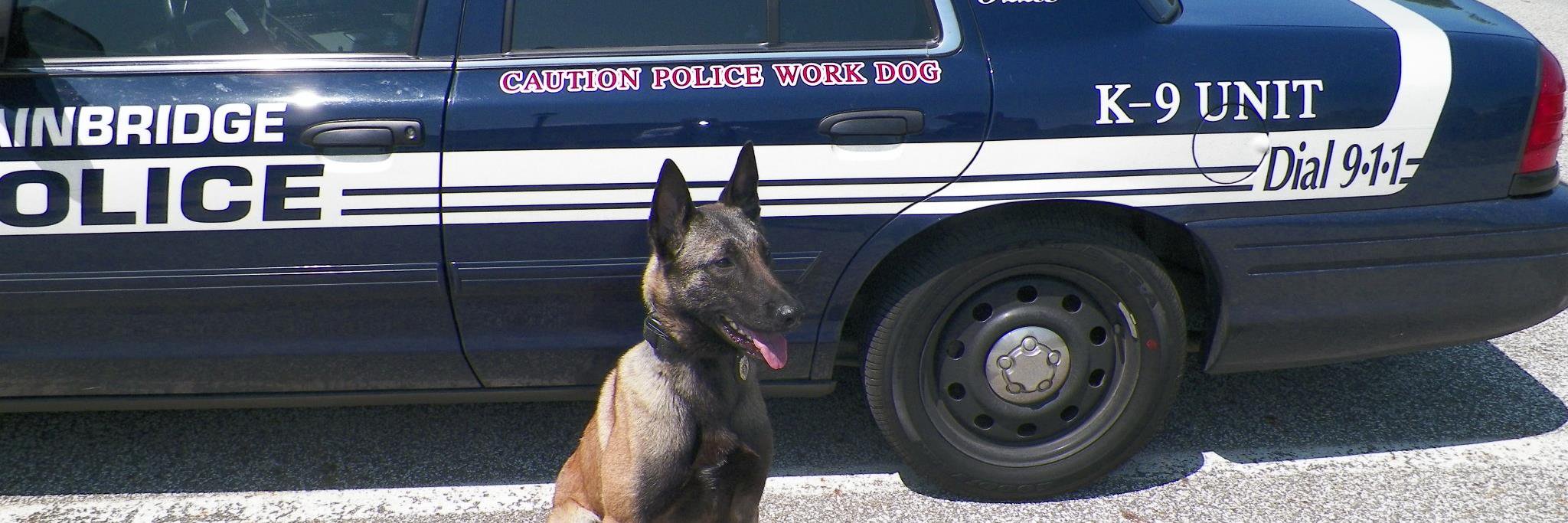 BainbridgeOhPD's profile banner image