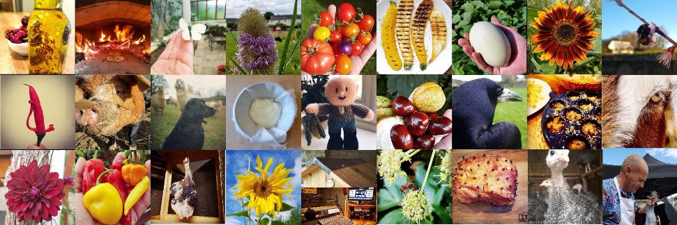 Francis Nesbitt banner