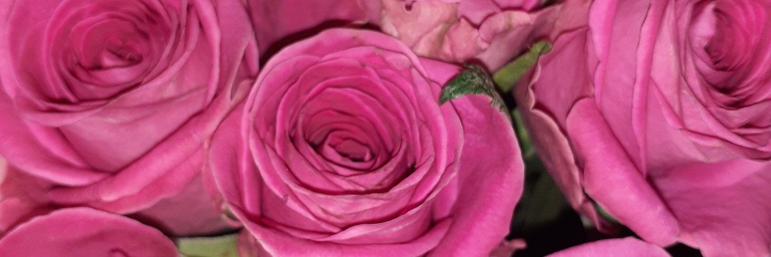 Mflower555's profile banner image