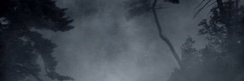 erollive's profile banner image