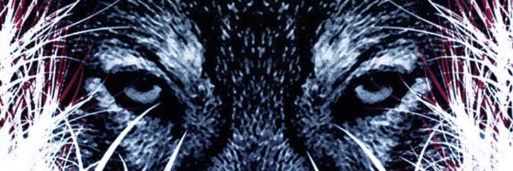 JaimeMe14's profile banner image