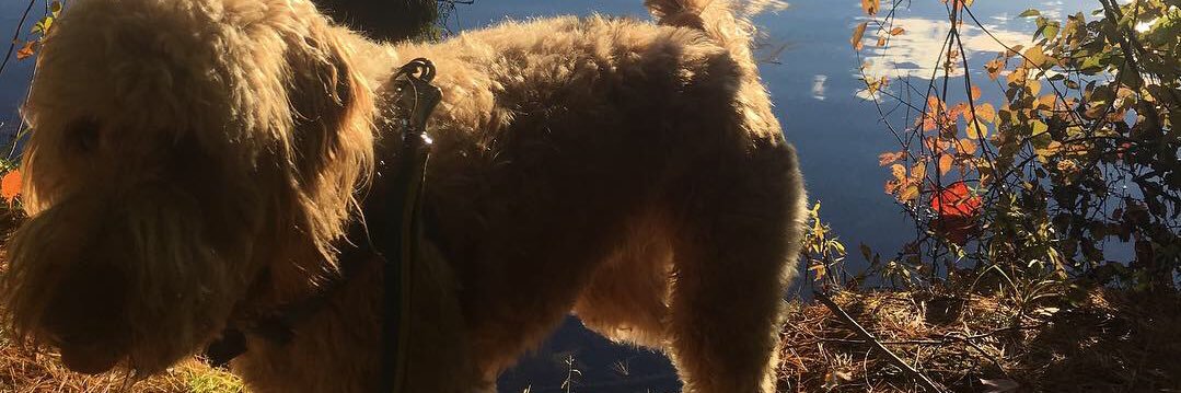 emctwoo's profile banner image