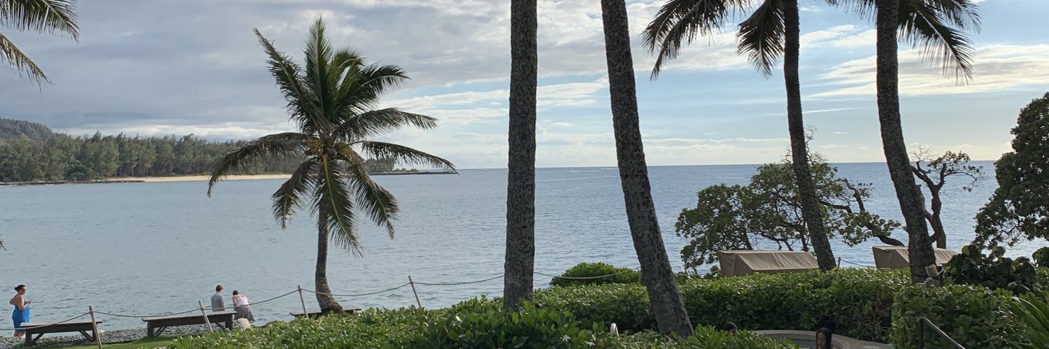 Birkelstock's profile banner image
