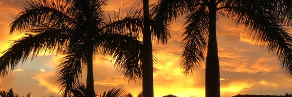 CatShea4 Profile Banner