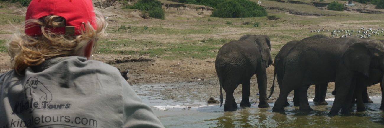 kibaletours's profile banner image