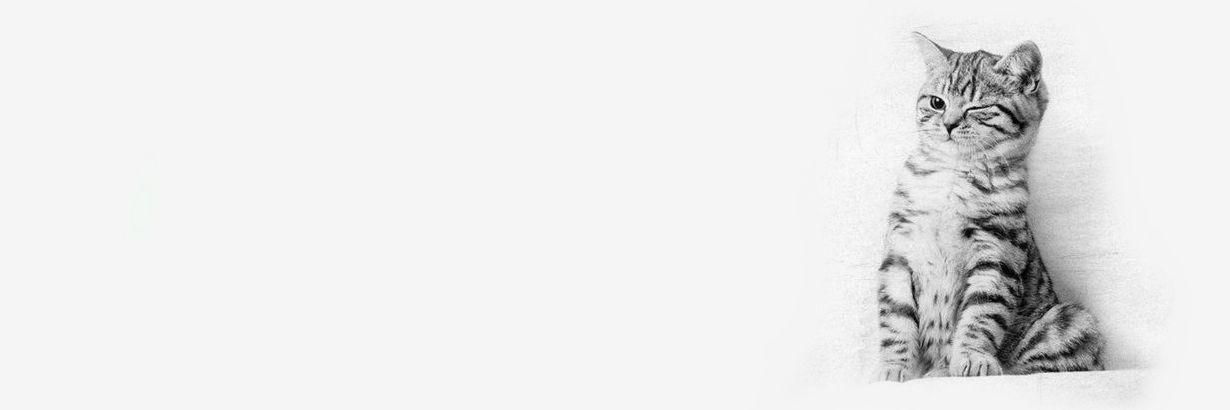 Deka_Matos's profile banner image
