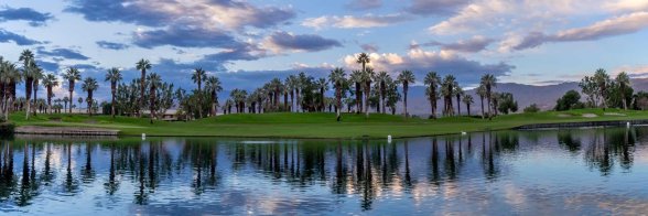 BioBoost Nest banner