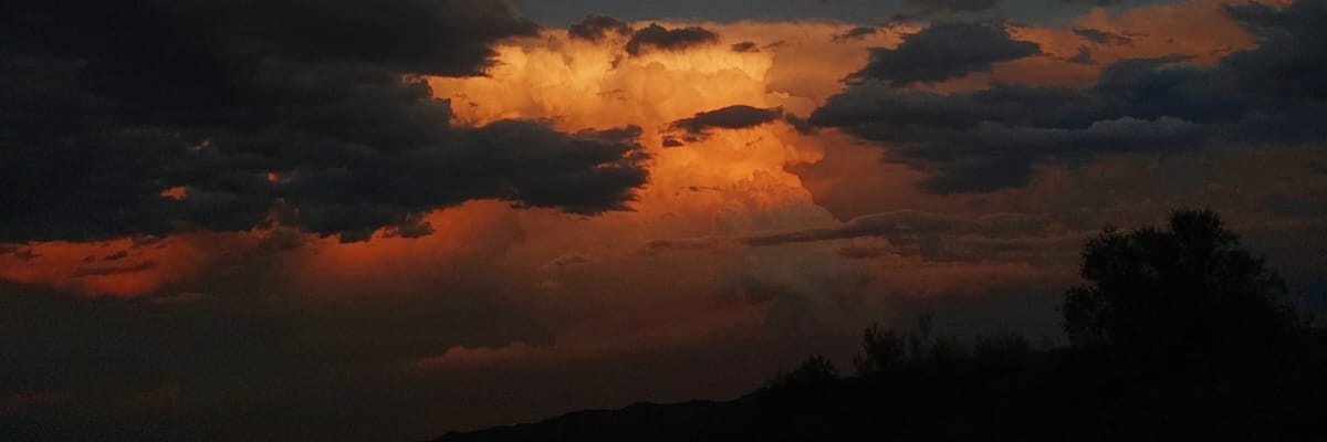 ManuelaMarsico2's profile banner image