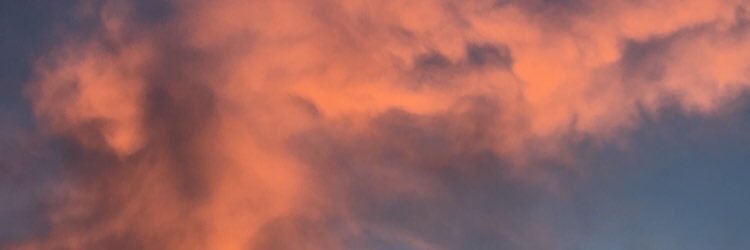 bridget_devaney's profile banner image