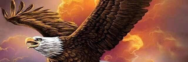 Ricky Misholas banner