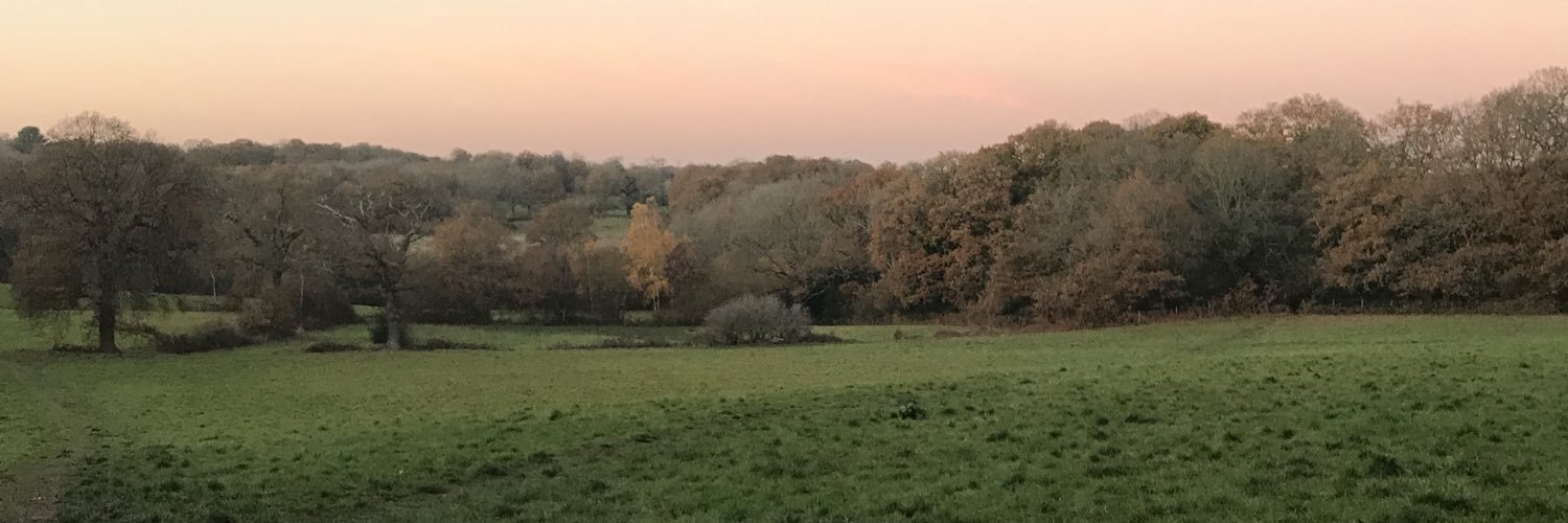 hattiemaddock_'s profile banner image