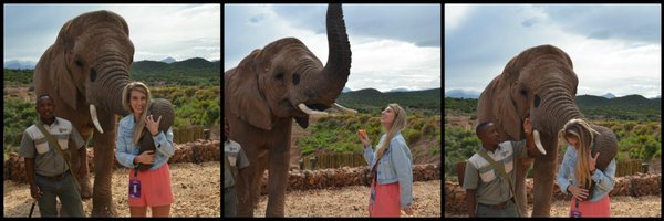 Bea_ILM Profile Banner