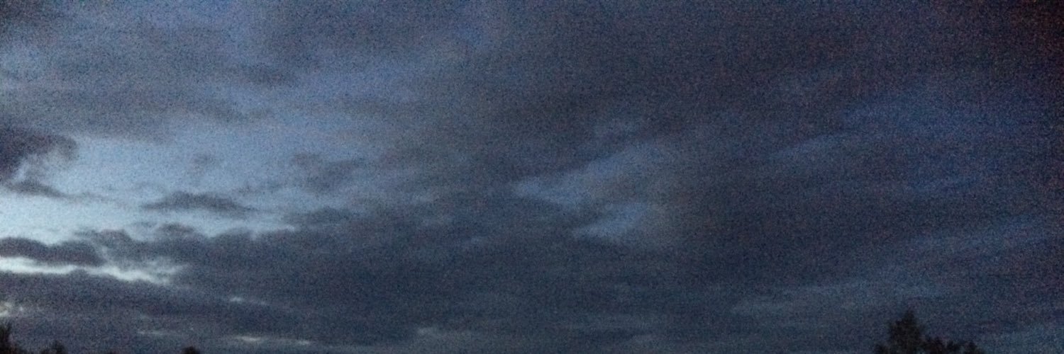 BeaThorsen's profile banner image