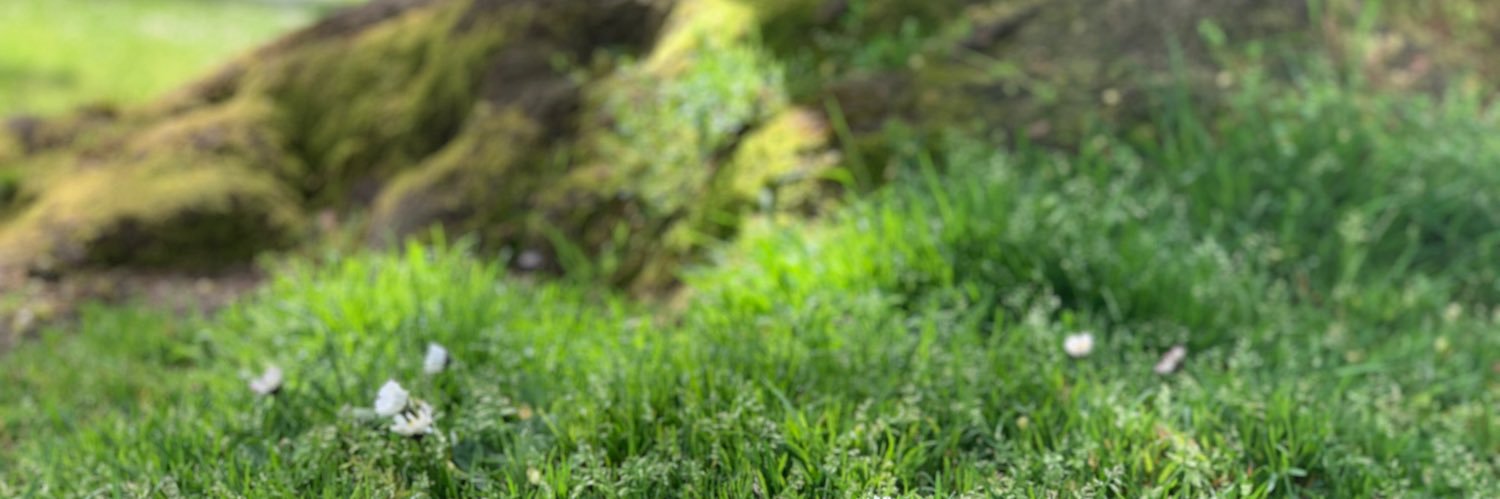 MassyTheSassy's profile banner image