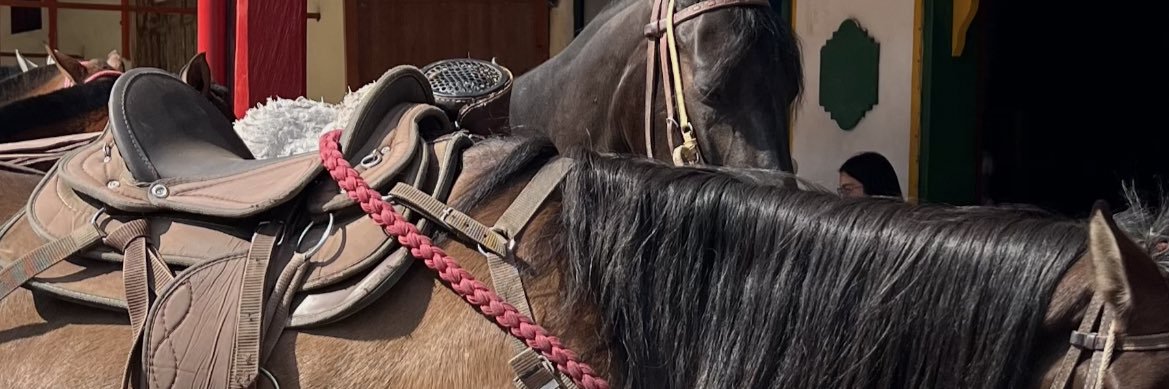 IsaackGM's profile banner image