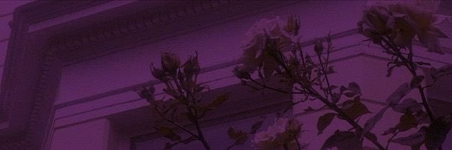 iidl91_'s profile banner image