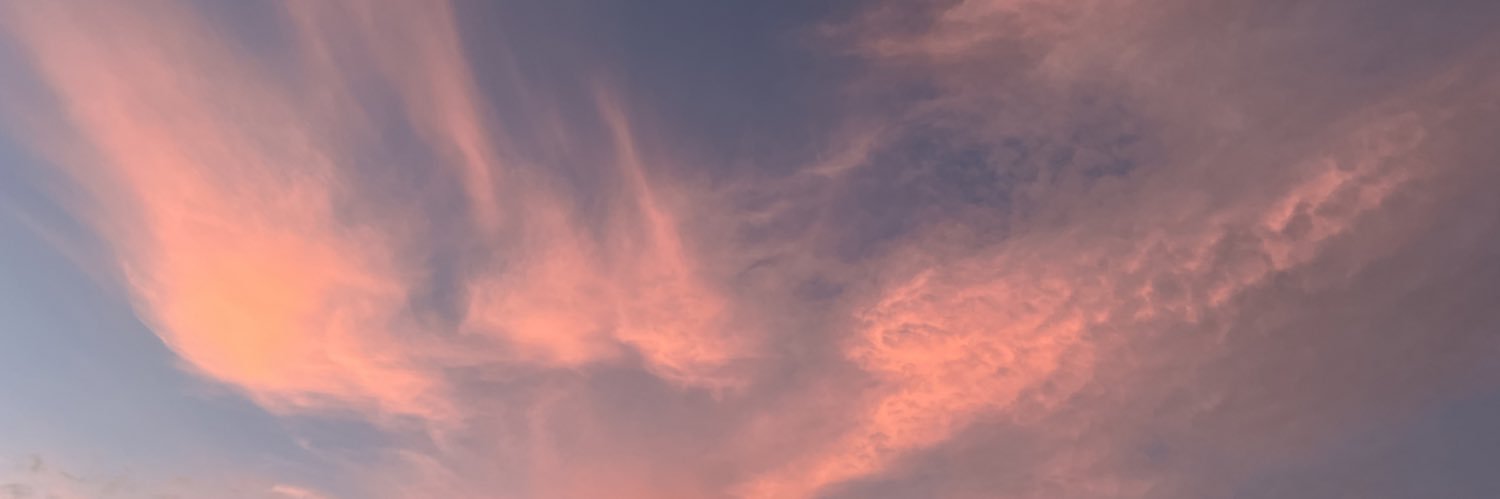 m_brdt's profile banner image