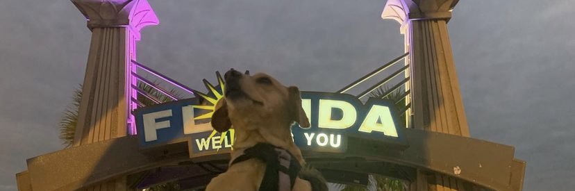 rhinestone plowboy banner