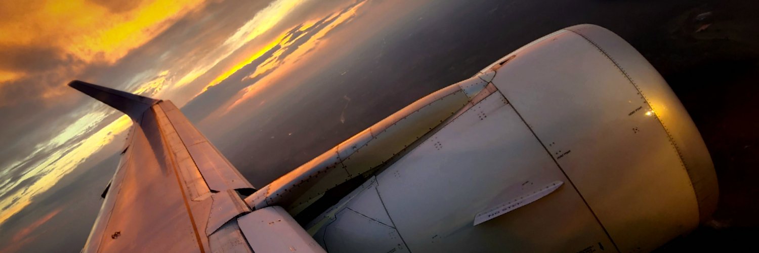 The Acerbic Avia✈️or banner