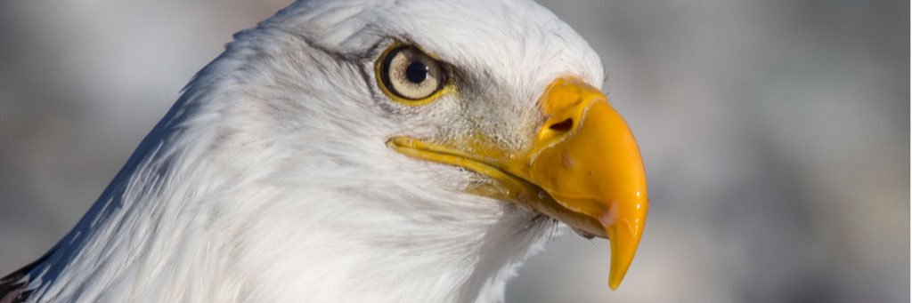 CleanUpOregon's profile banner image