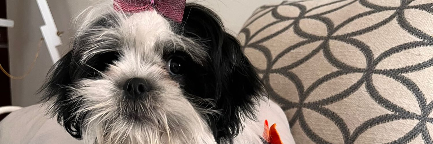 davidrepri's profile banner image