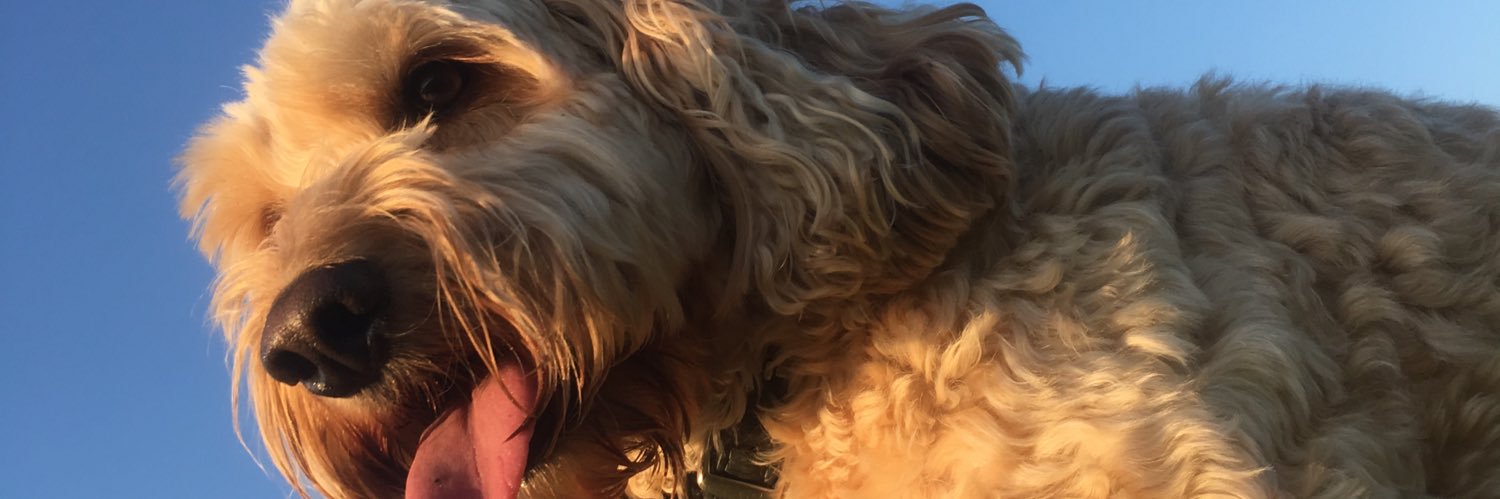 McCons's profile banner image