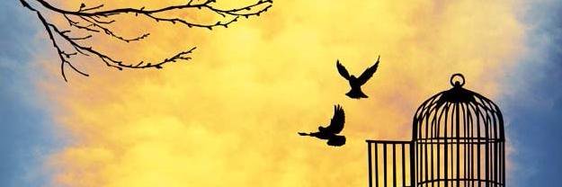 DevCommMCRC's profile banner image