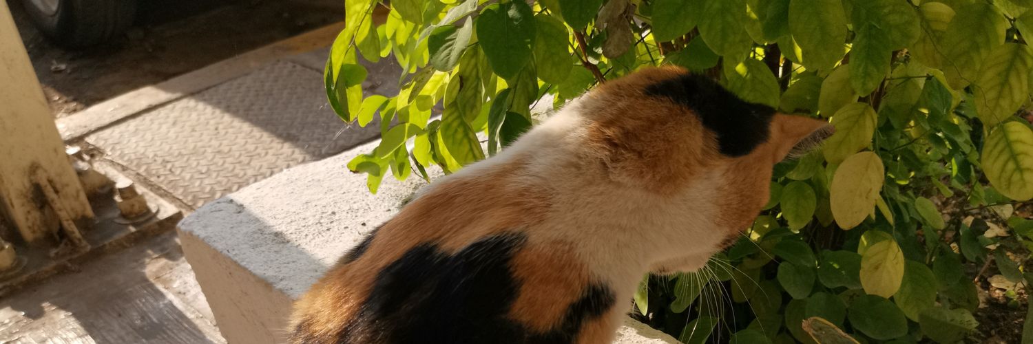 justAnotherLumi's profile banner image
